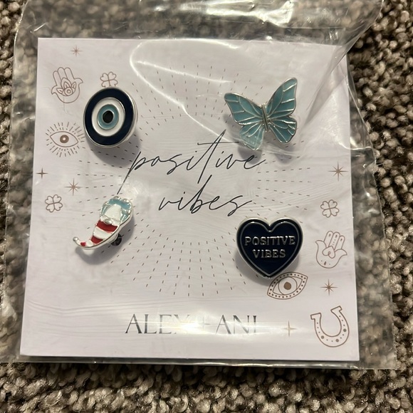 Alex & Ani pins - Picture 1 of 1